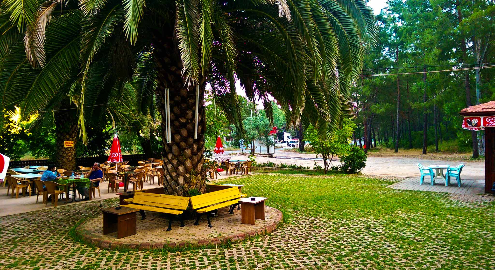 Çamlık Restaurant Marmaris Hisarönü bahçe ve restoran girişi